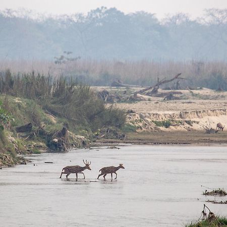 Sanctuary Chitwan National Park Ngoại thất bức ảnh