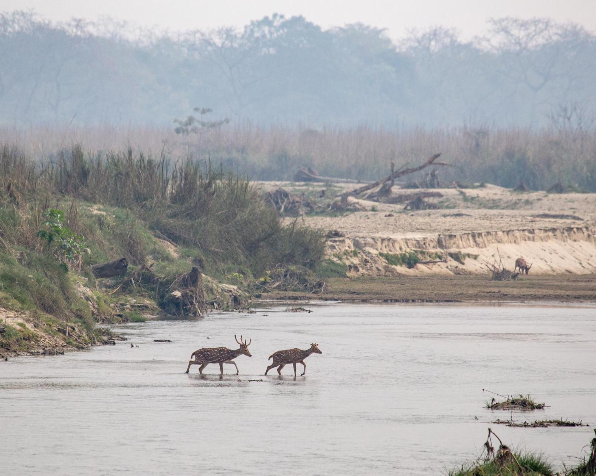 Sanctuary Chitwan National Park Ngoại thất bức ảnh
