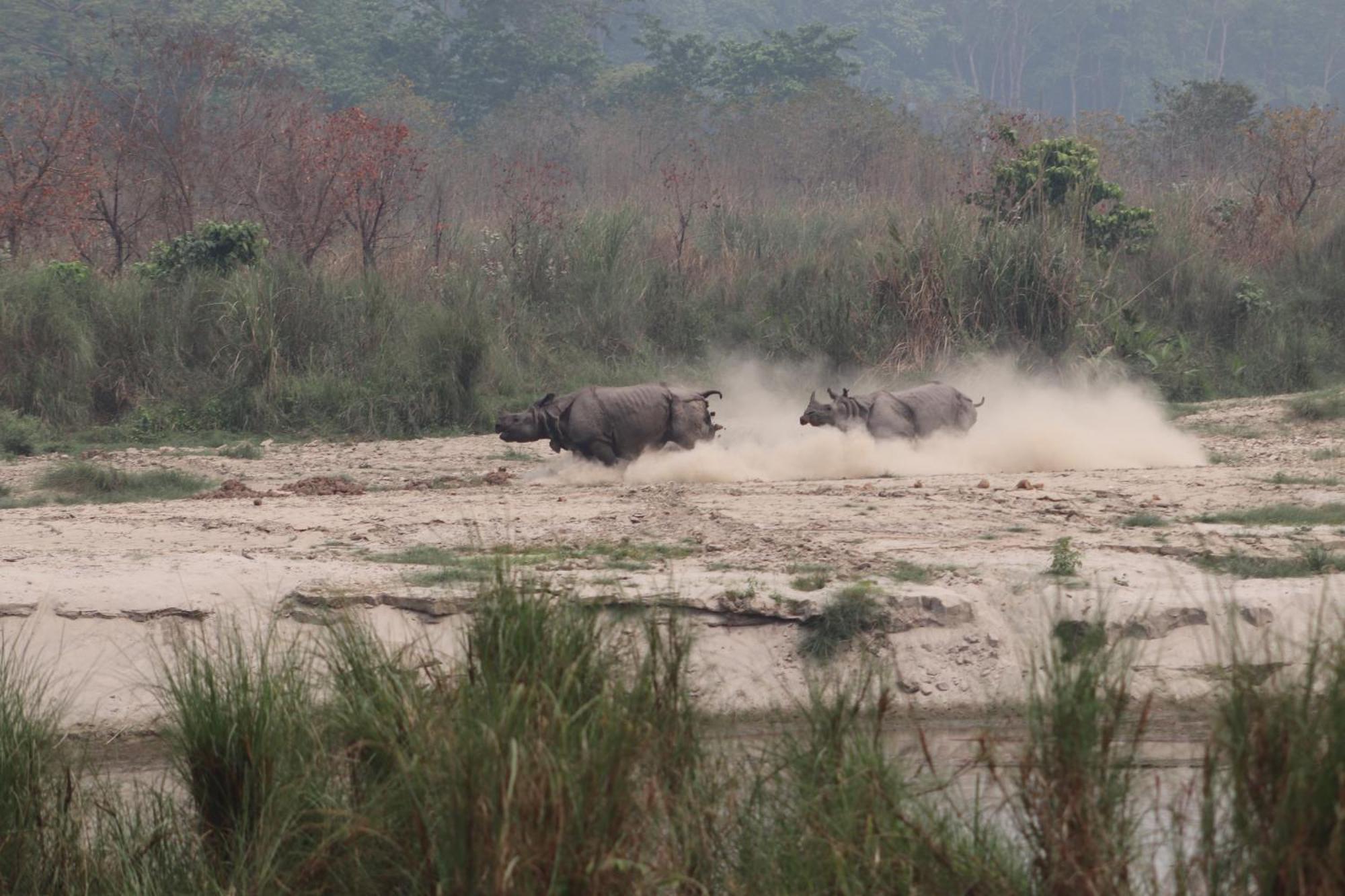Sanctuary Chitwan National Park Ngoại thất bức ảnh