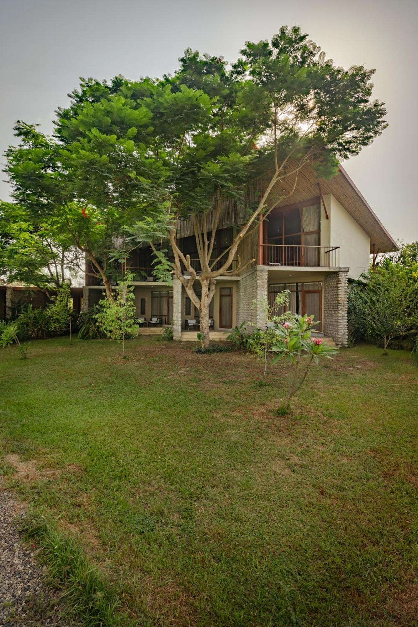 Sanctuary Chitwan National Park Ngoại thất bức ảnh