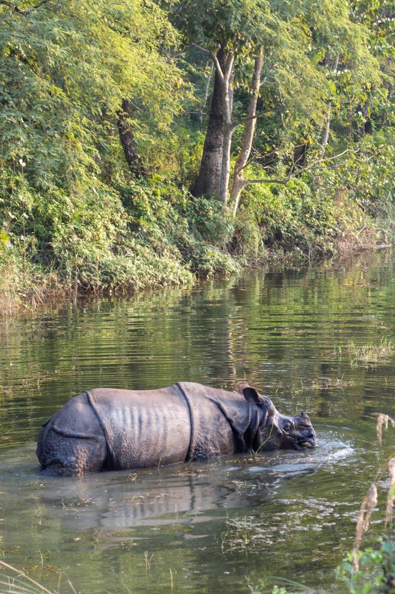Sanctuary Chitwan National Park Hotel Ngoại thất bức ảnh